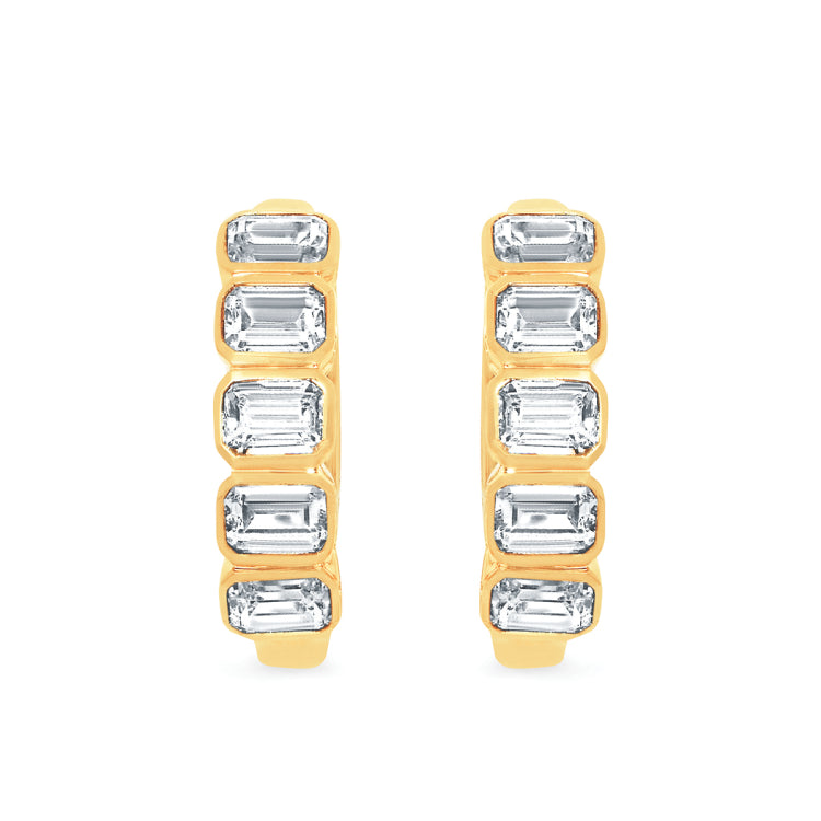EARRINGS  EC LG A 2