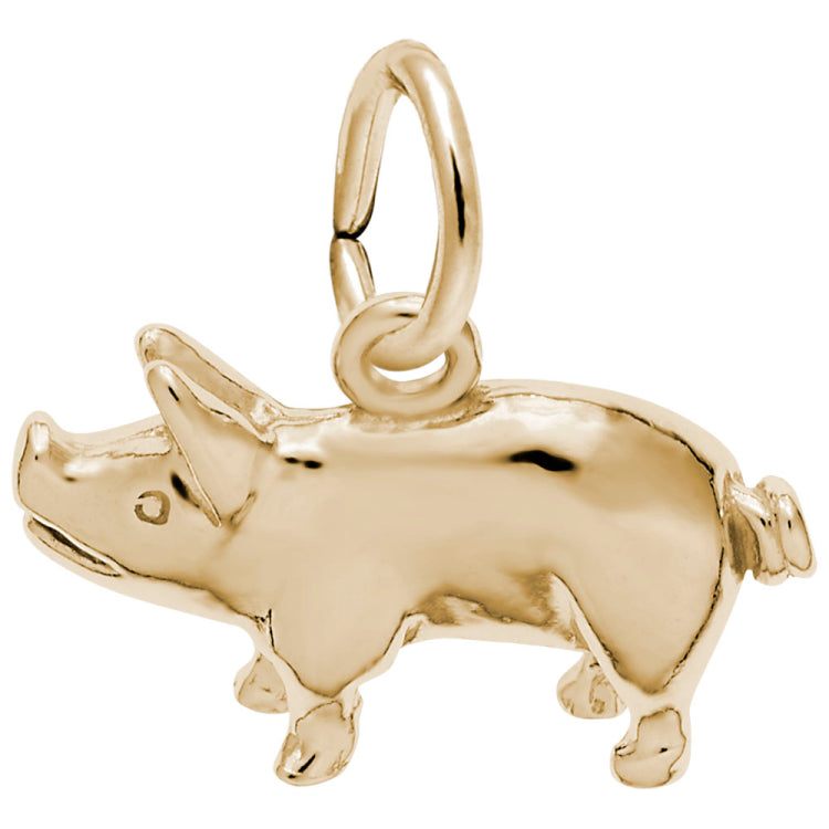 PIG