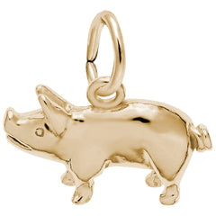 PIG