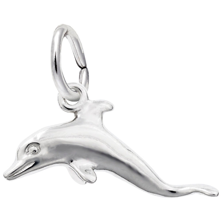 DOLPHIN
