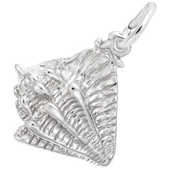 CONCH SHELL
