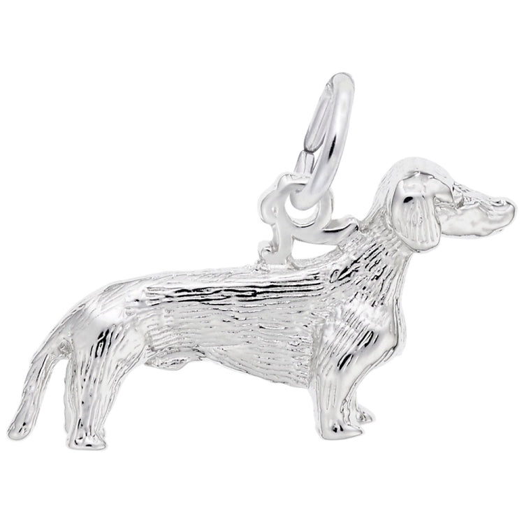 DACHSHUND DOG