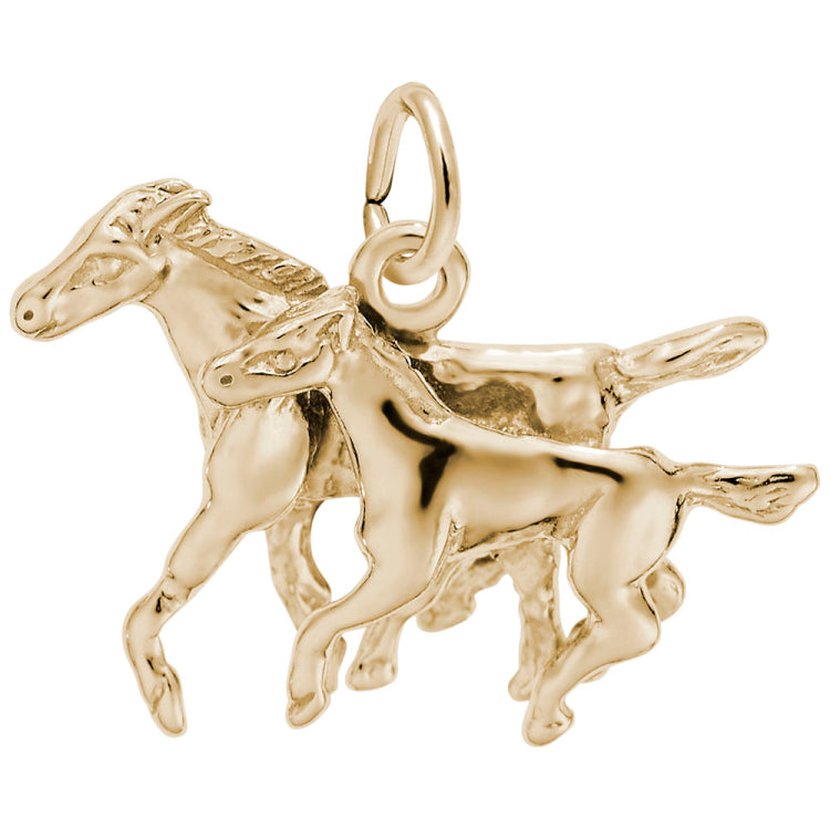 HORSE AND COLT