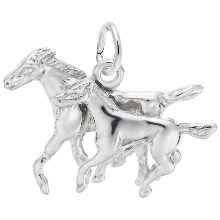 HORSE AND COLT
