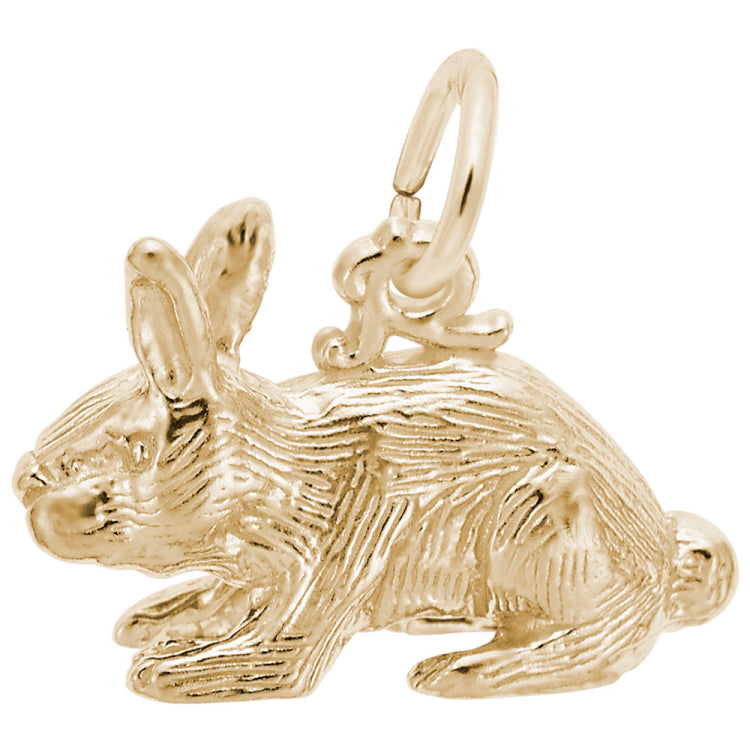 RABBIT