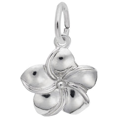 PLUMERIA FLOWER