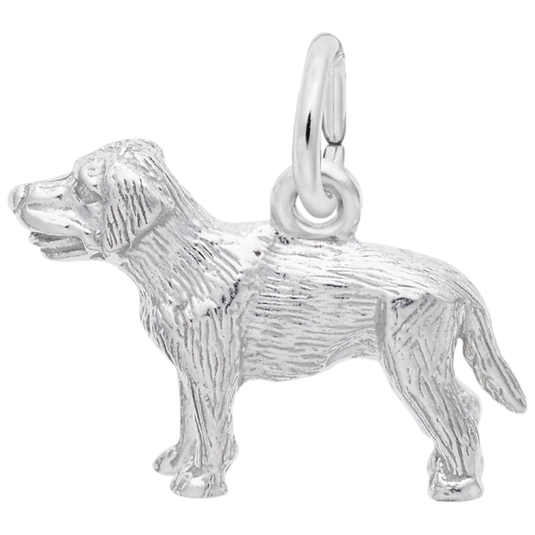 LABRADOR