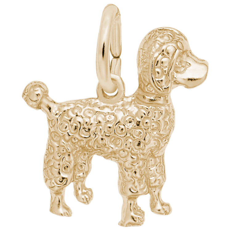 POODLE