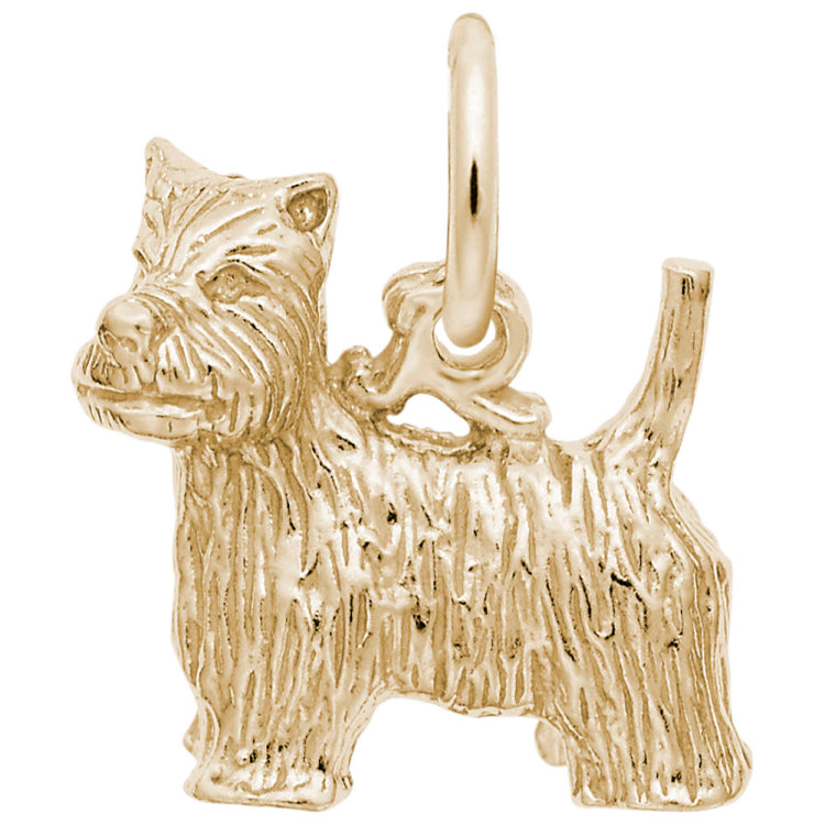 WEST HIGHLAND TERRIER
