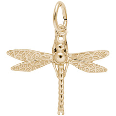 DRAGONFLY