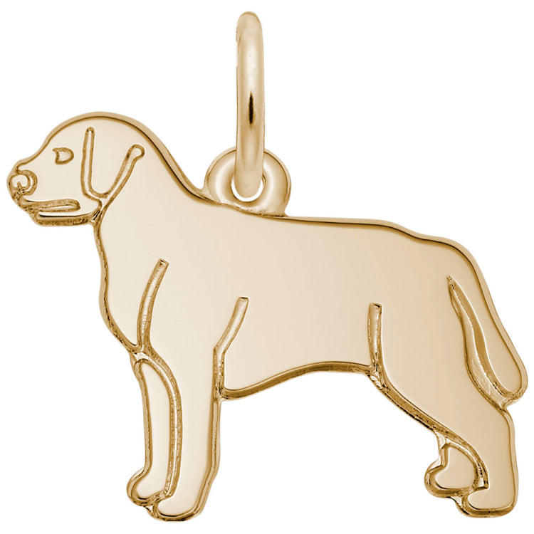 LABRADOR RETRIEVER
