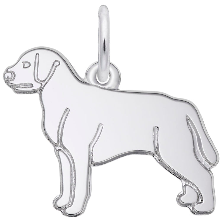 LABRADOR RETRIEVER
