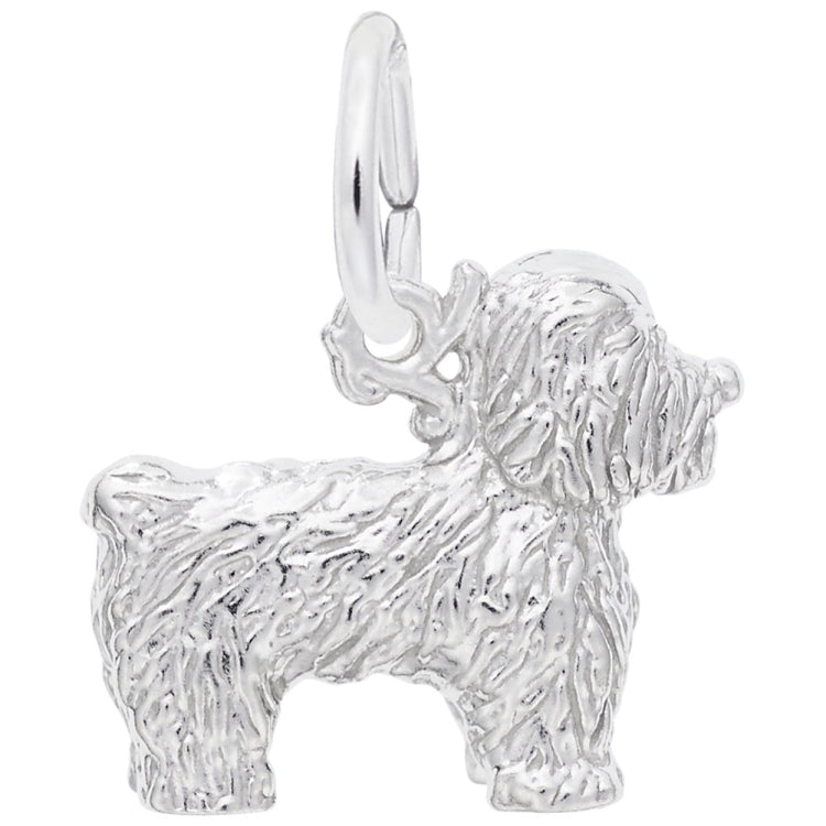 BICHON FRISE