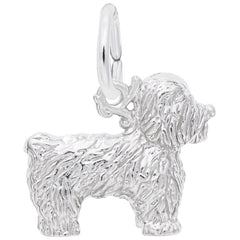 BICHON FRISE