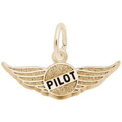 PILOT'S WINGS