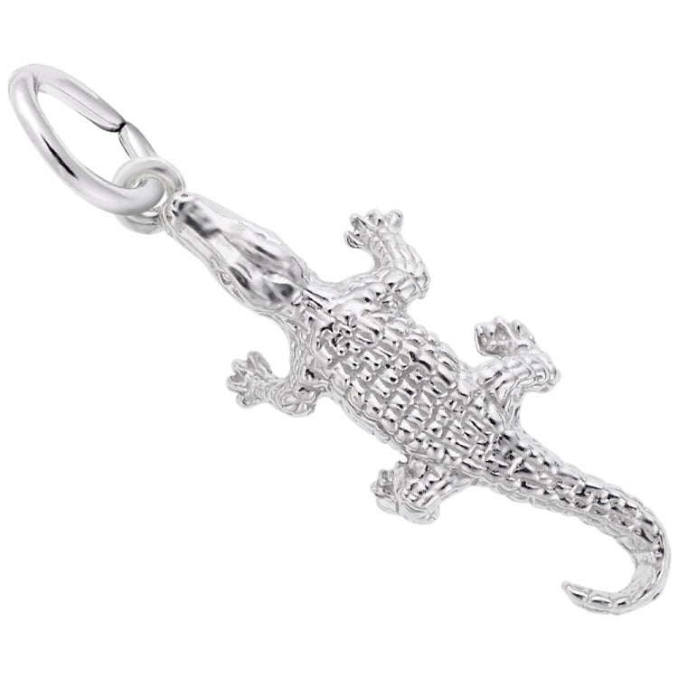 ALLIGATOR