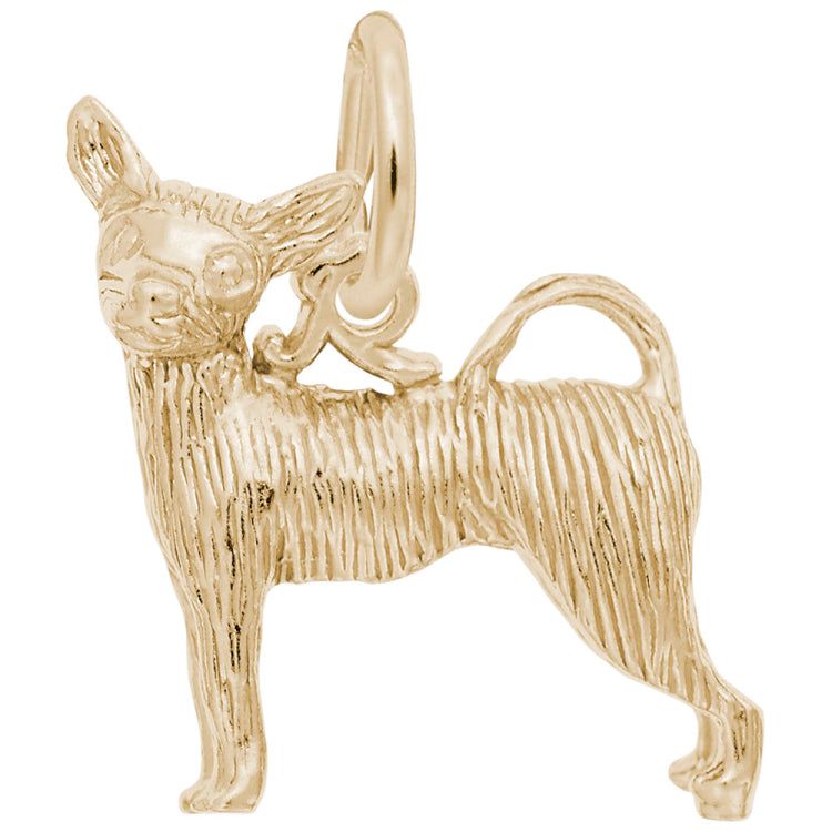 CHIHUAHUA